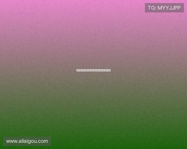 过去一个赛季出战次数最多的劳模阵容盘点与分析